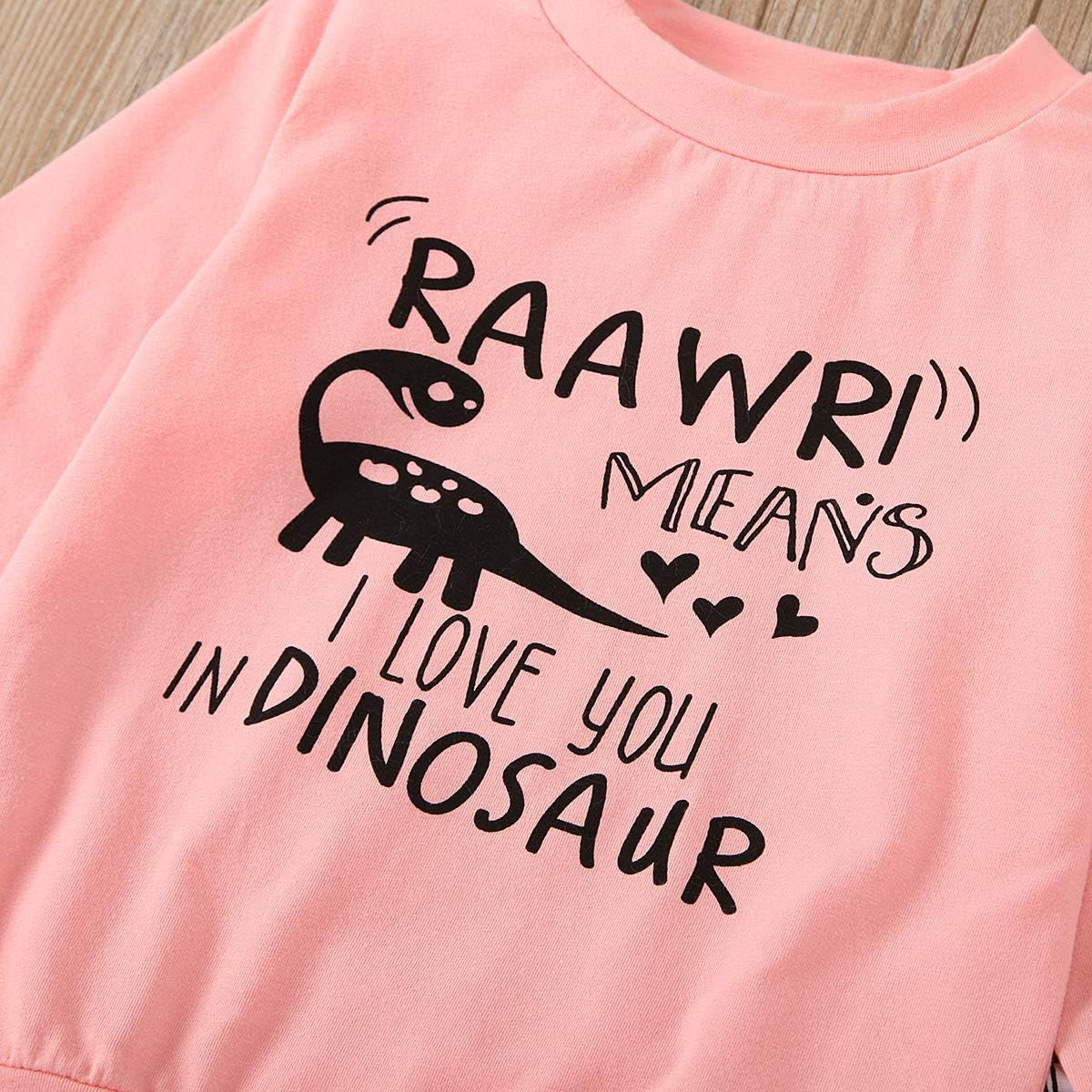 Toddler Baby Girls Clothing Sets Little Dinosaur Printed Long Sleeve Tops and Pants 2Pcs Fall Winter Outfits